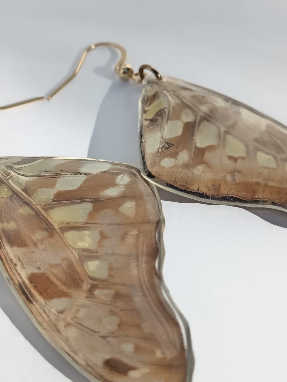 Butterfly wing earrings encased in resin