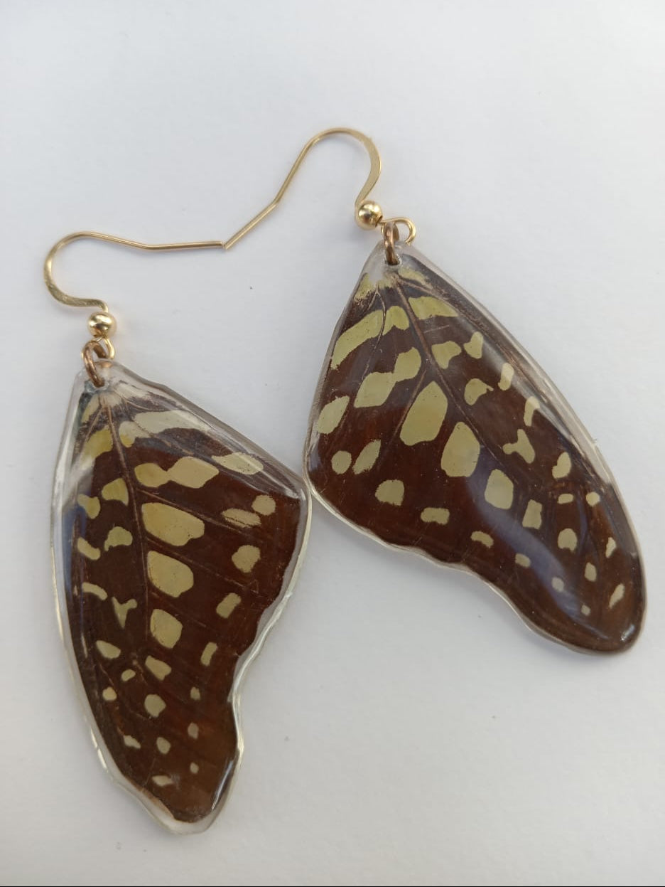 Butterfly wing earrings encased in resin