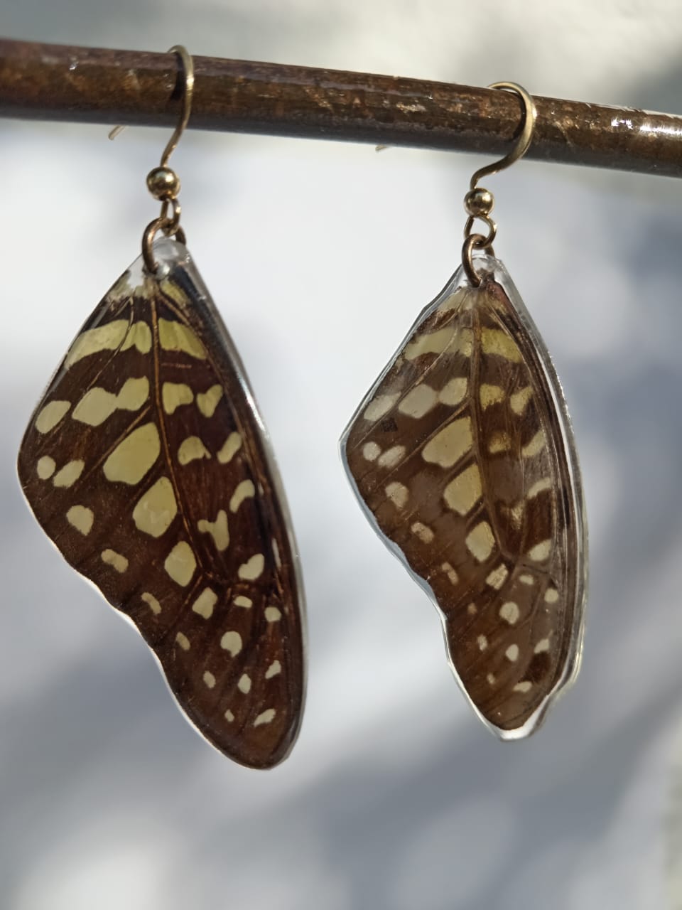 Butterfly wing earrings encased in resin