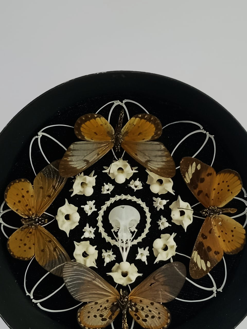 Bone and Butterfly in Vintage Clock