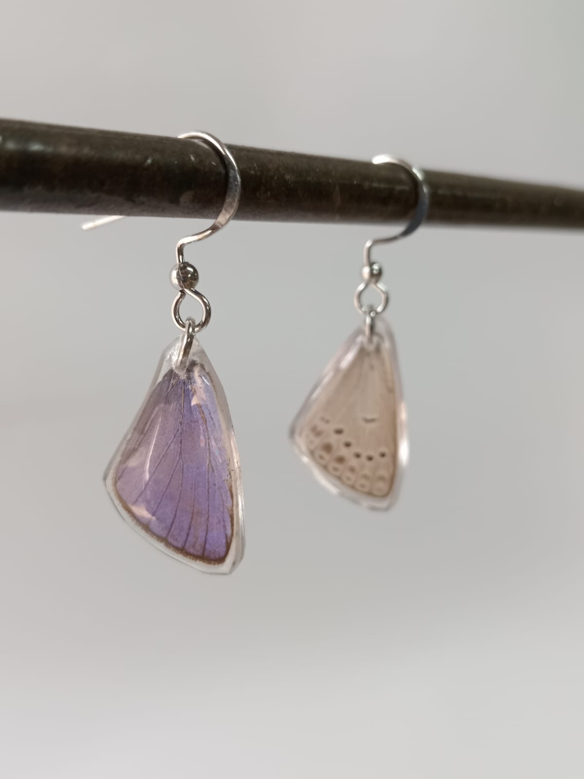 Common Blue Butterfly Wing Sterling Silver Earrings