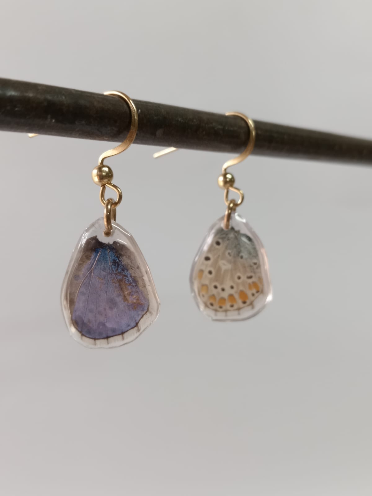 Close-up of iridescent Common Blue Butterfly wing earrings in resin