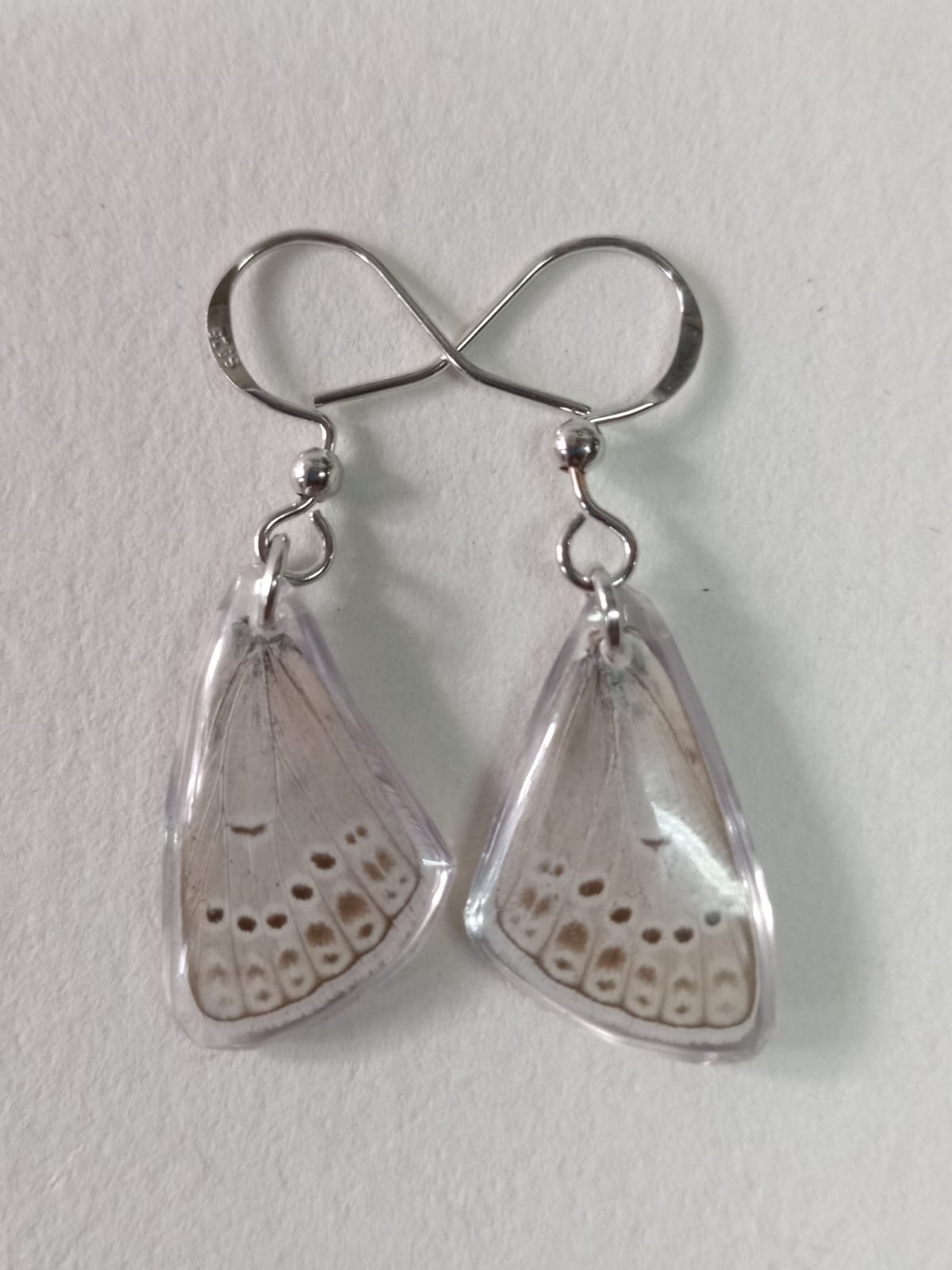 Common Blue Butterfly Wing Sterling Silver Earrings