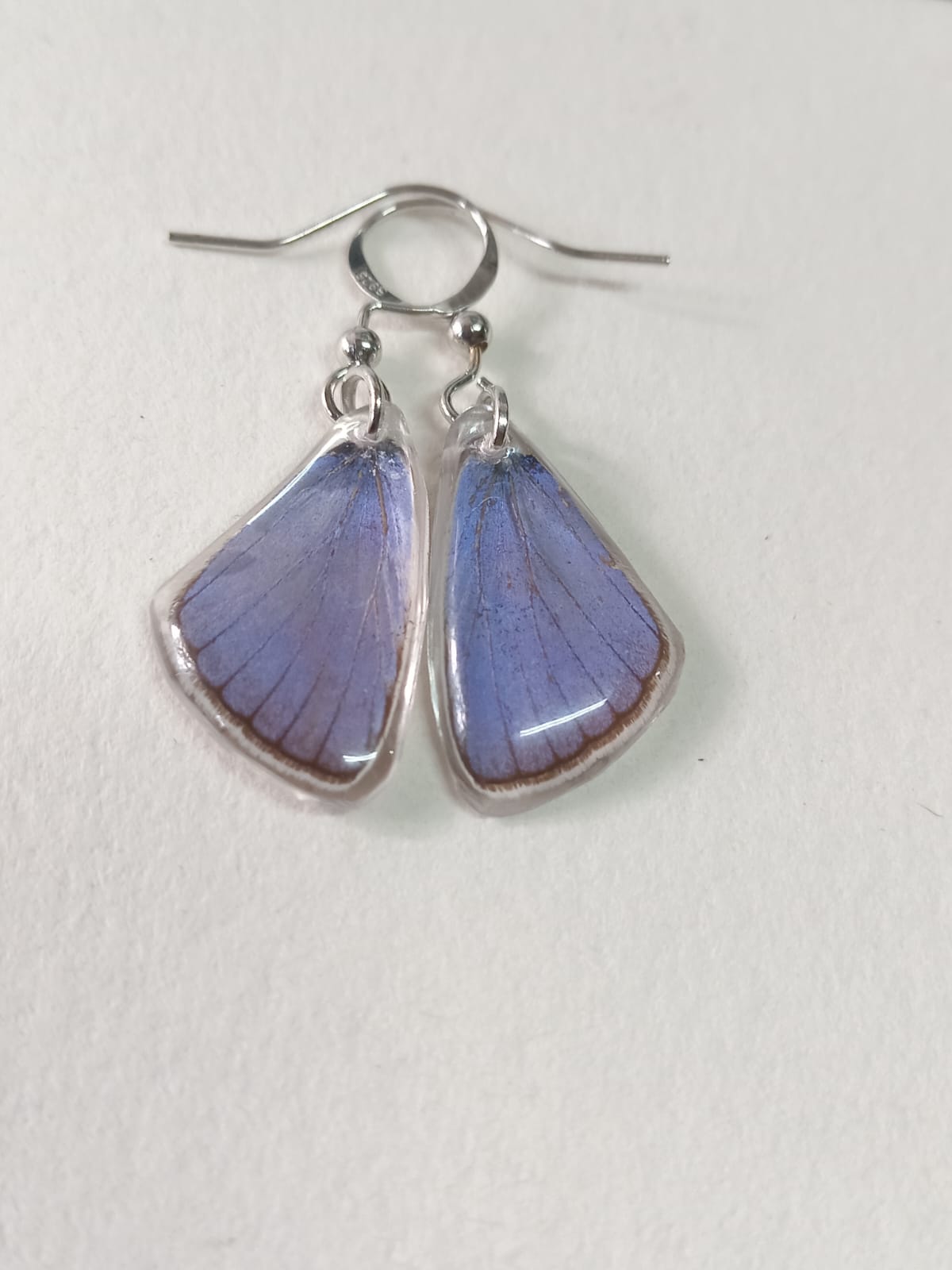 Common Blue Butterfly Wing Sterling Silver Earrings