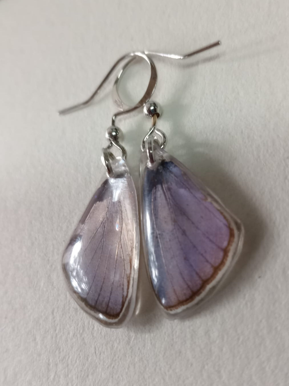 Common Blue Butterfly Wing Sterling Silver Earrings