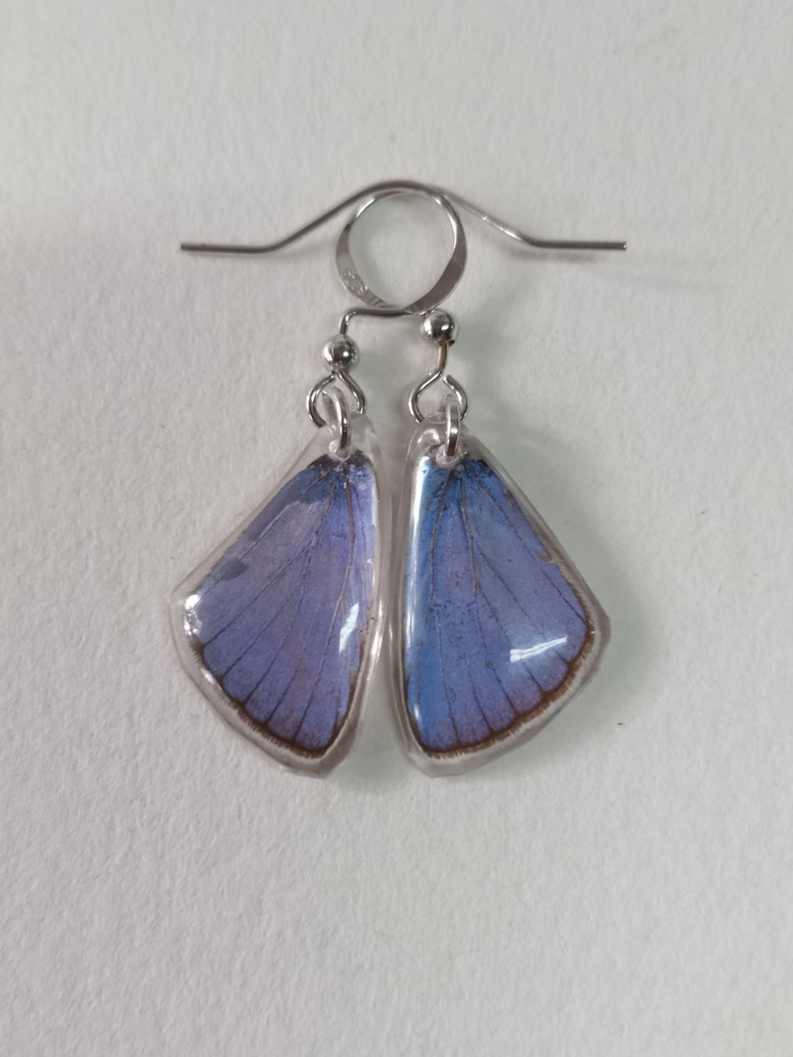 Common Blue Butterfly Wing Sterling Silver Earrings