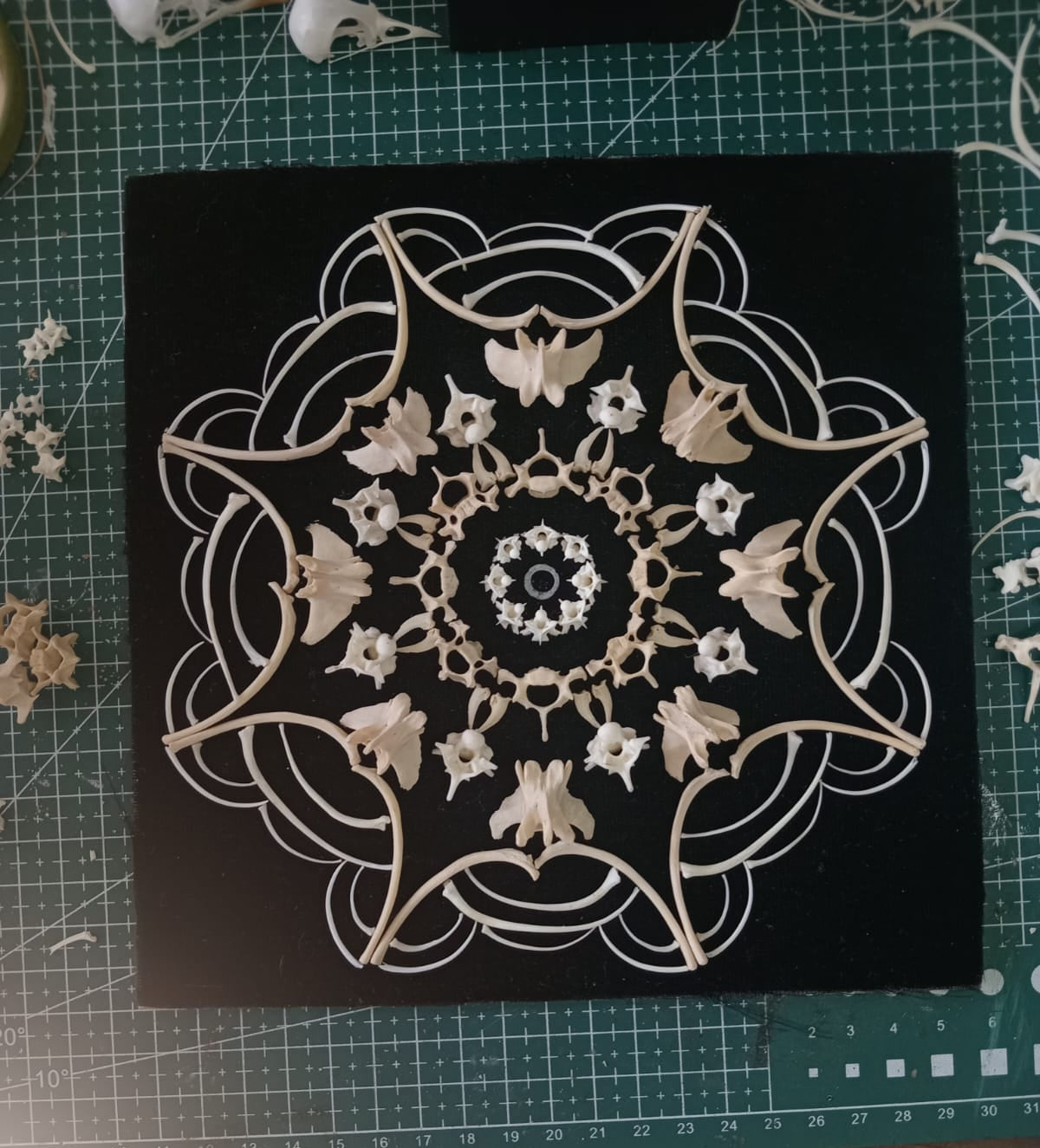 Snake and Mongoose Bone Mandala