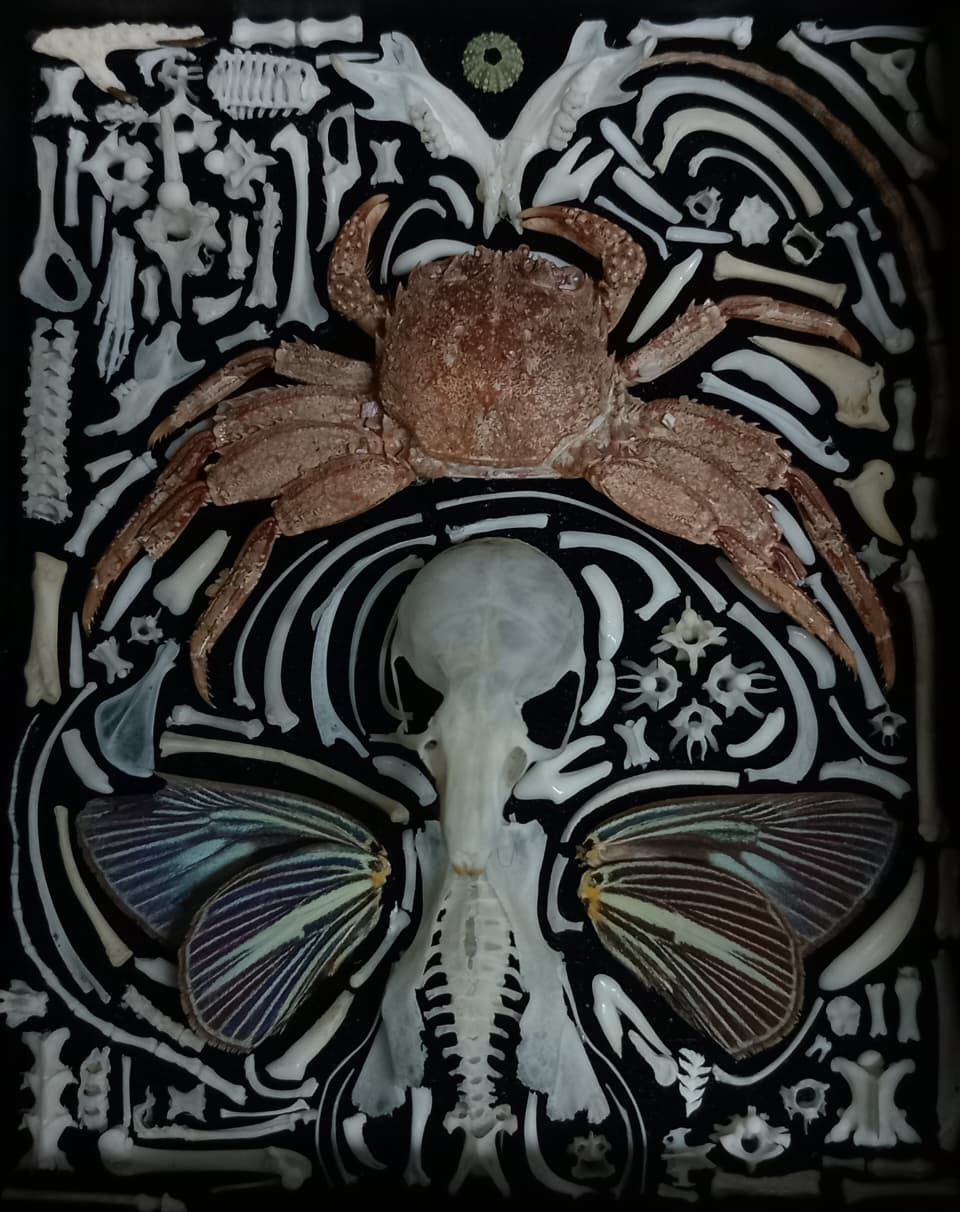 Nature Composition Crab Fairy