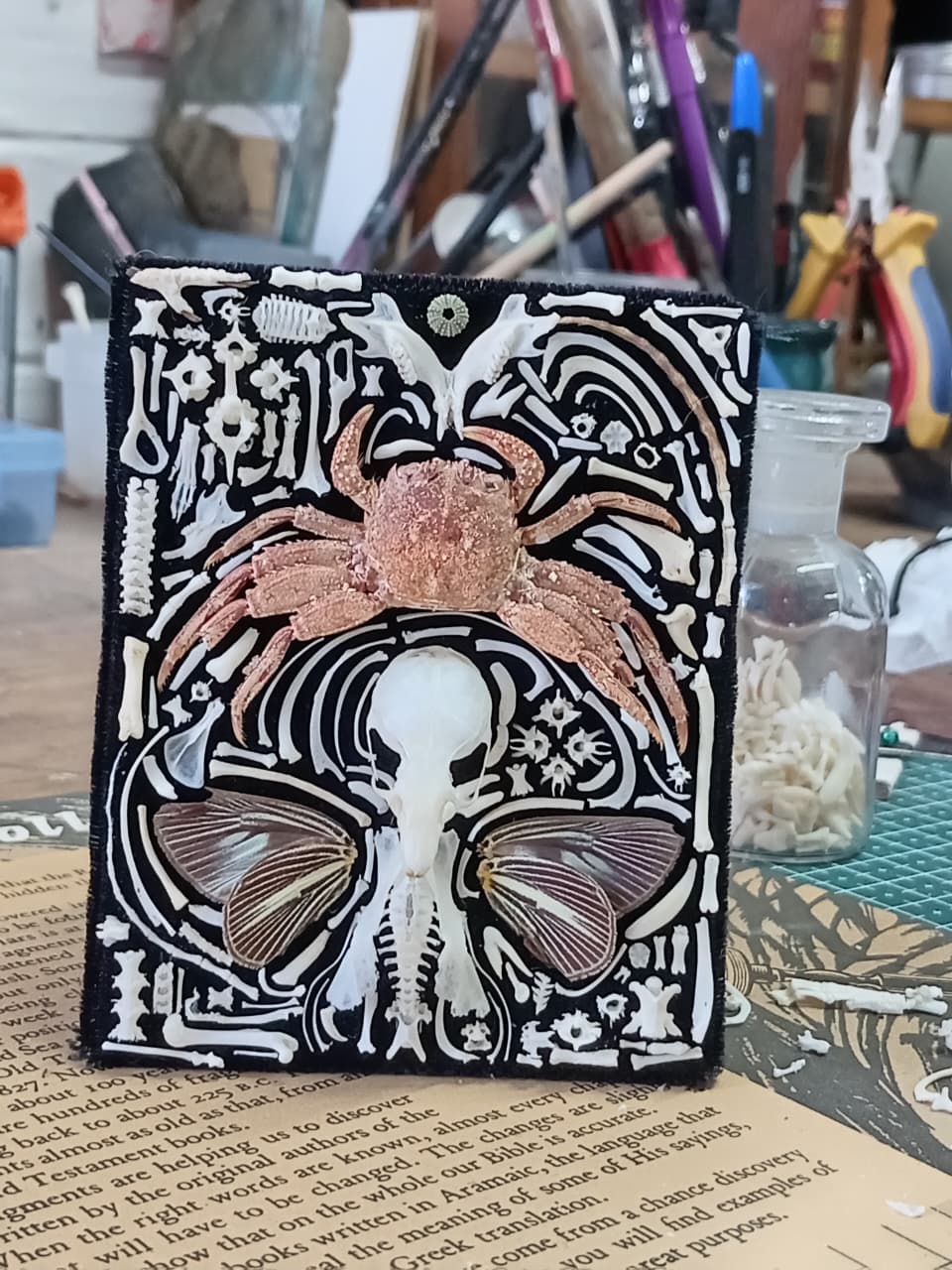 Nature Composition Crab Fairy