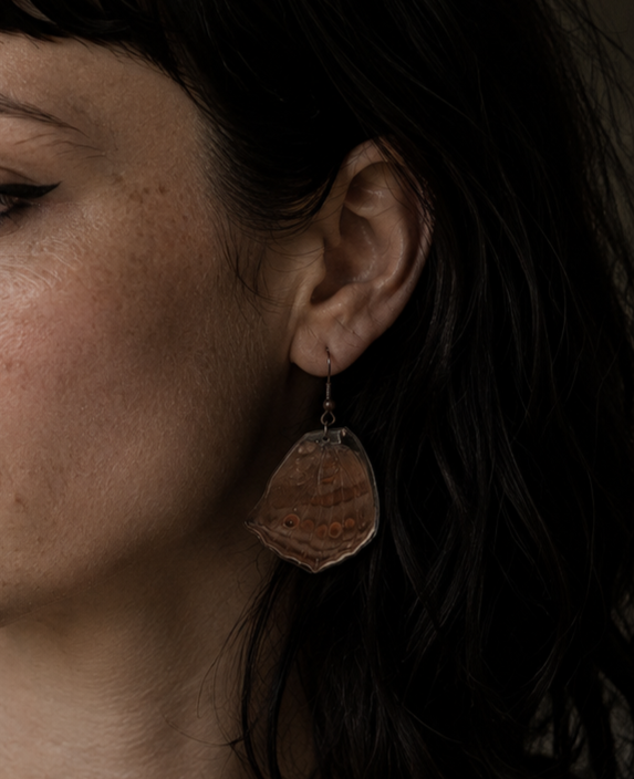 Butterfly Species | Real Butterfly Wing Earrings in Resin
