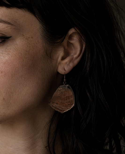 Butterfly Species | Real Butterfly Wing Earrings in Resin